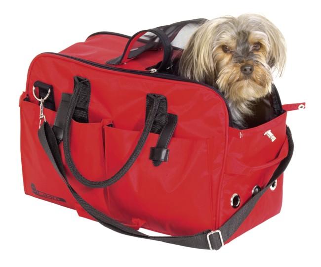 Quel sac de transport choisir pour voyager avec son chien ? - Animaw
